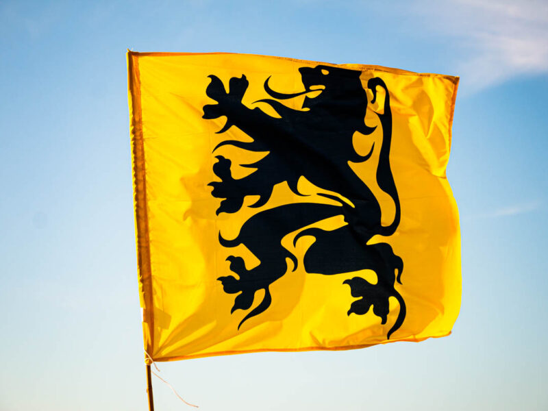 Vlaamse actievlag