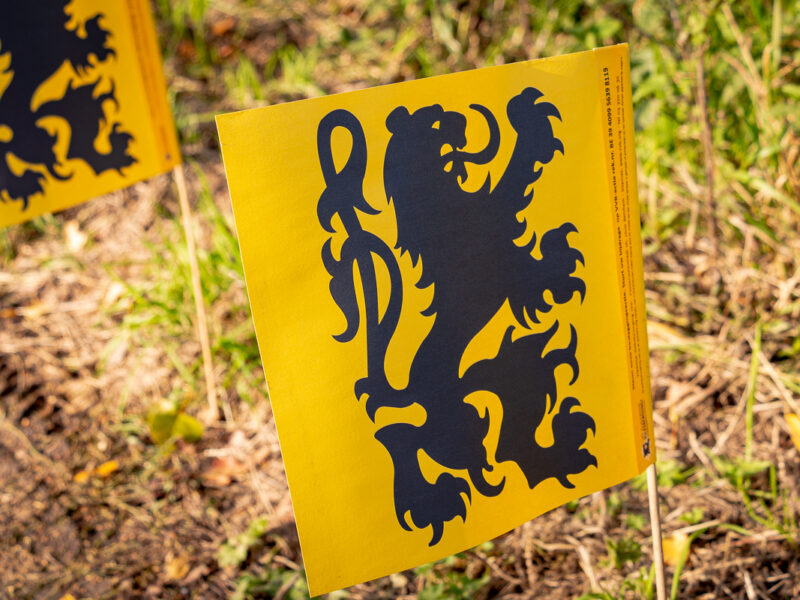 Papieren Vlaamse leeuw vlag