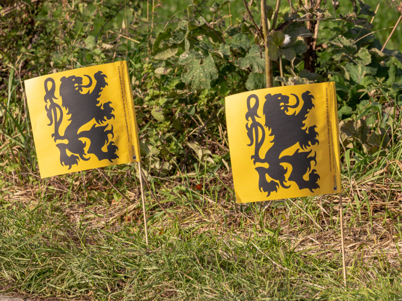 Kleine Vlaamse Leeuw vlaggen