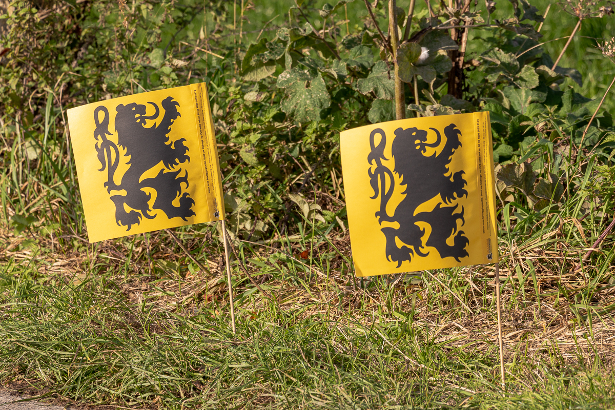 Papieren Vlaamse leeuw vlag