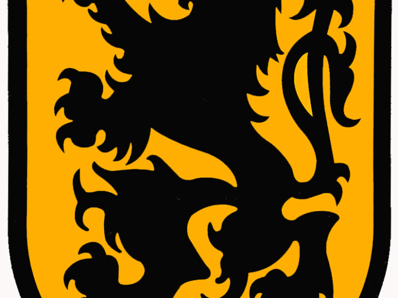 Autoklever schildje met Vlaamse Leeuw