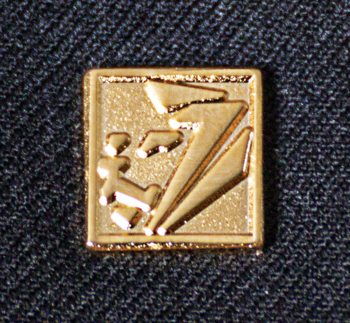 PIN LOGO VVB