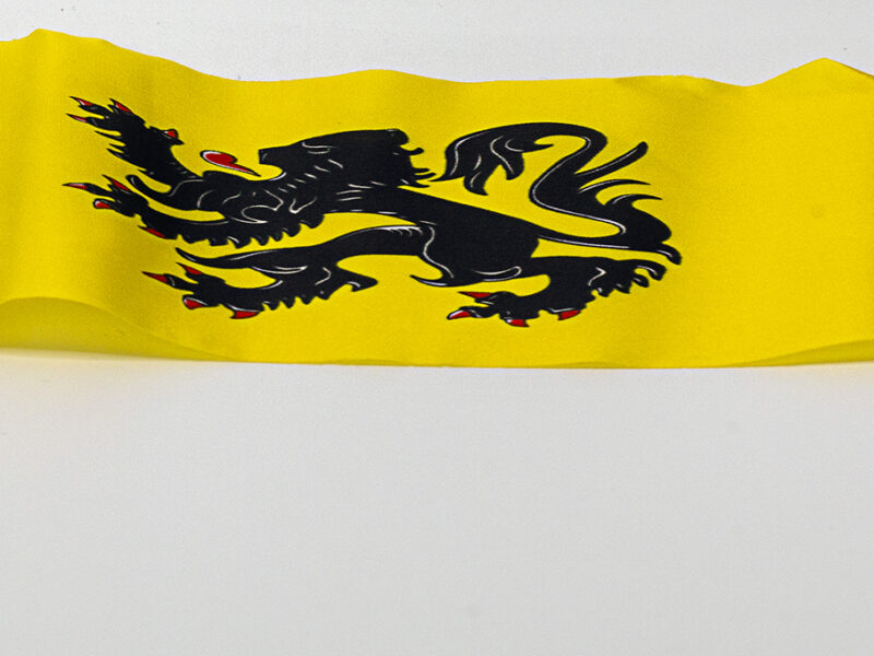 Polyester zwaaivlaggetjes (24 x 20 cm) – 10 stuks