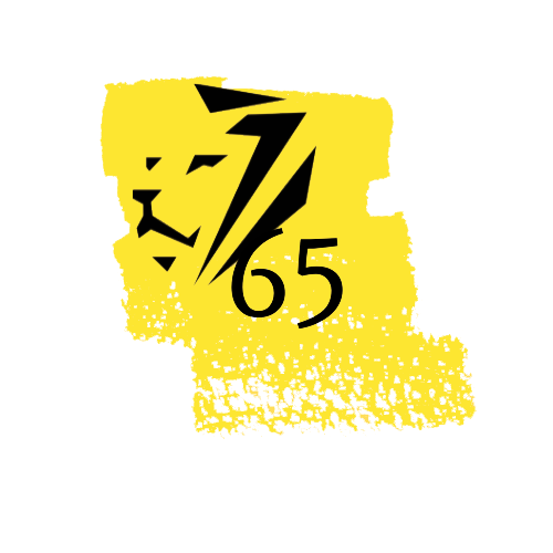 Logo 65 jaar op wit
