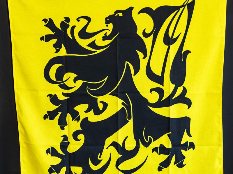 Vlaamse beweging raamvlag