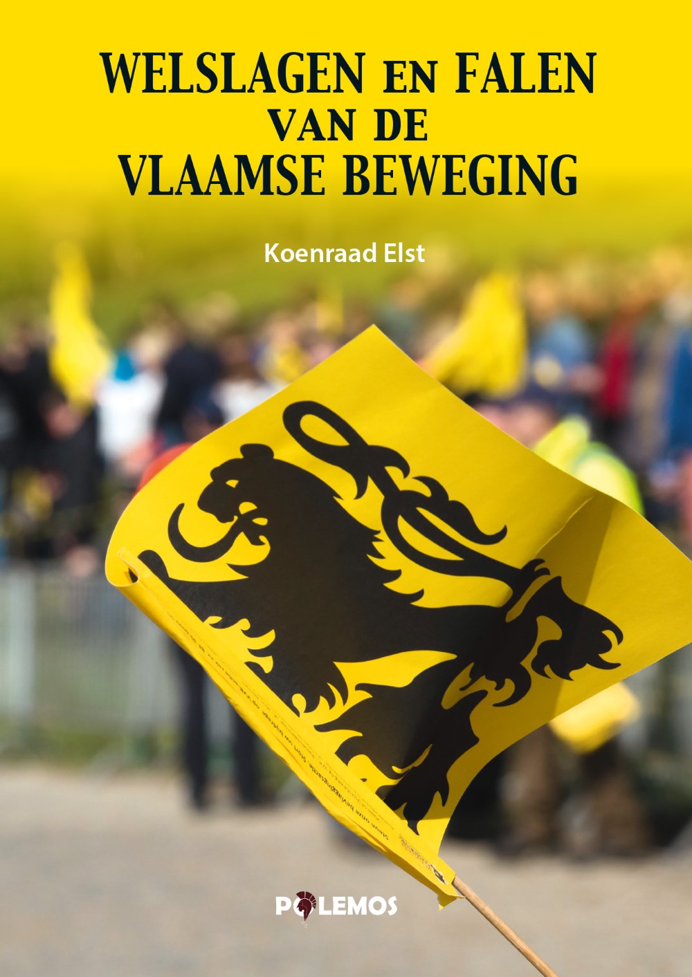 Welslagen en falen van de Vlaamse Beweging
