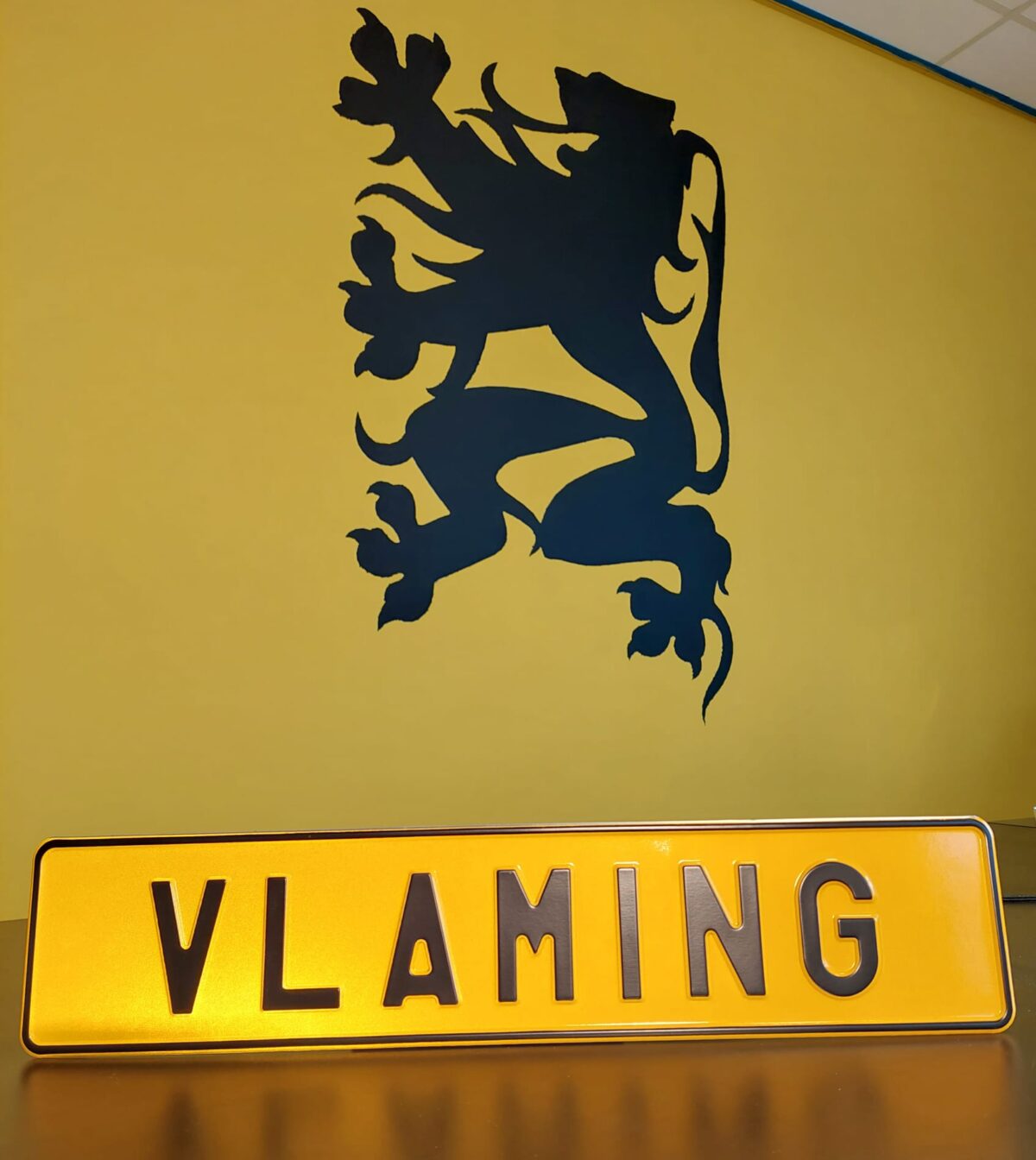 Nummerplaat VLAMING