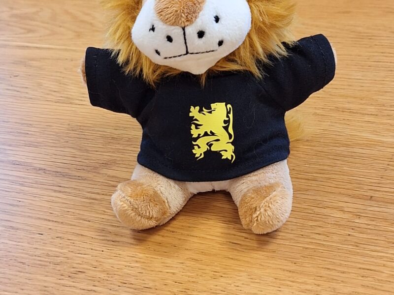 Zwarte knuffel Vlaamse Leeuw